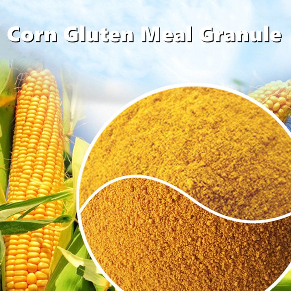 Corn Gluten Meal 60% for Animal Feed Pig/Fish/Horse/Cow Feed Additives