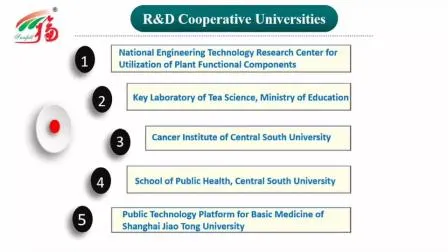 CAS 501-36-0 천연 화장품 성분 레스베라트롤 노화 방지 Polygonum Cuspidatum