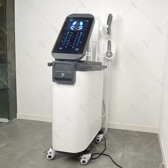 새로운 에스테틱 시스템, 근육 키우기, 셀룰라이트 감소, 바디 슬리밍, 2023 가격, RF EMS 바디 쉐이핑 머신, 체중 감량, 피부, 미용실 장비
